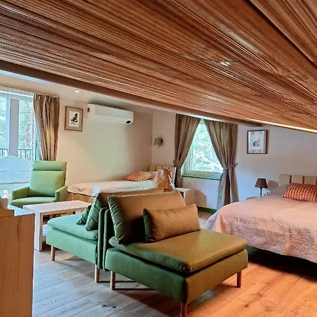 Hotel Gintarautojai *