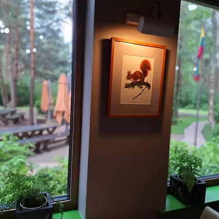 Gintarautojai Hotel