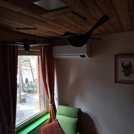Gintarautojai Hotel Palanga