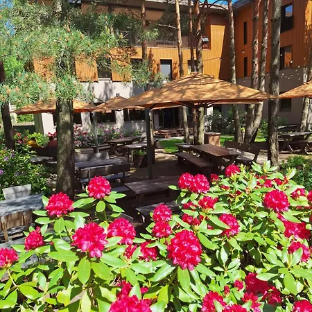Gintarautojai Hotel Palanga