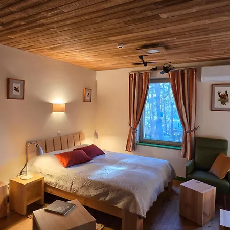 Szálloda Gintarautojai Palanga