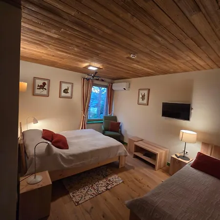 Gintarautojai * Palanga