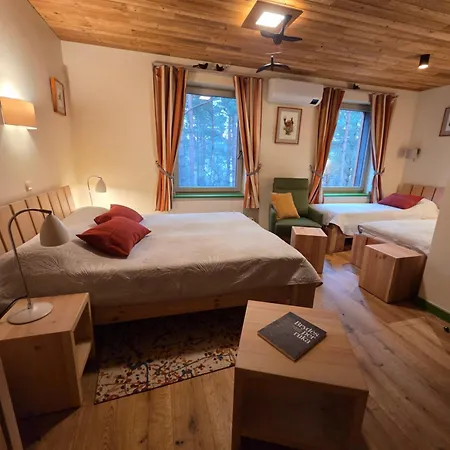 Hotel Gintarautojai *