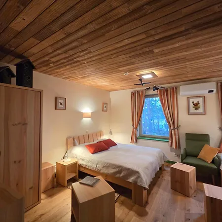 Gintarautojai * Palanga