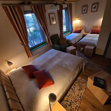 Gintarautojai Hotel Palanga