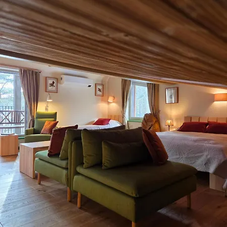 Hotel Gintarautojai