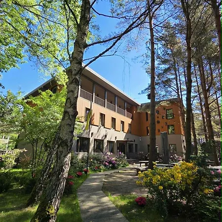 Gintarautojai Palanga