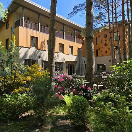 Gintarautojai Palanga