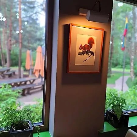 Hotel Gintarautojai