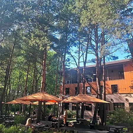 Gintarautojai Hotel