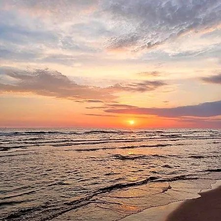 Gintarautojai * Palanga