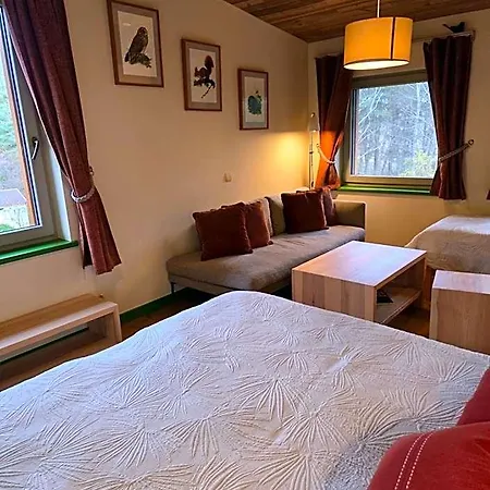 Gintarautojai Palanga
