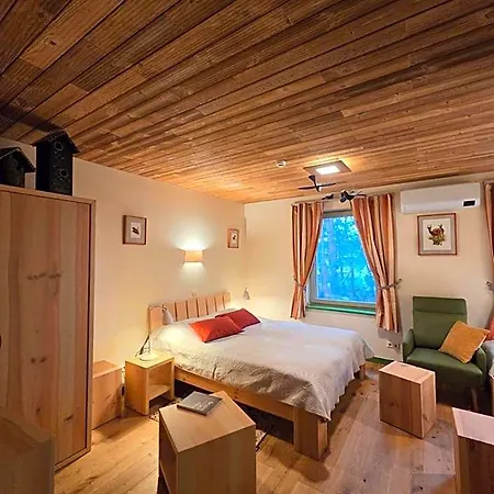 Hotel Gintarautojai *