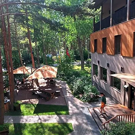 Gintarautojai Palanga