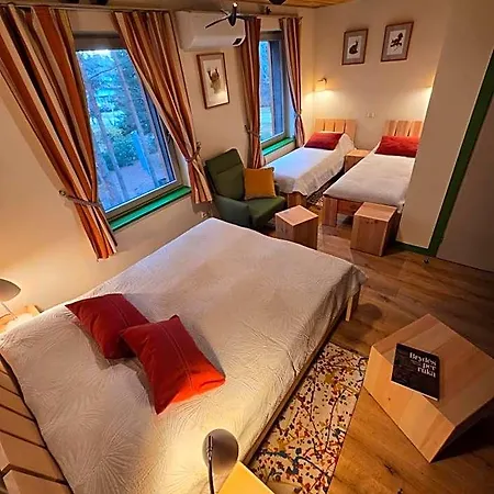 Hotel Gintarautojai *
