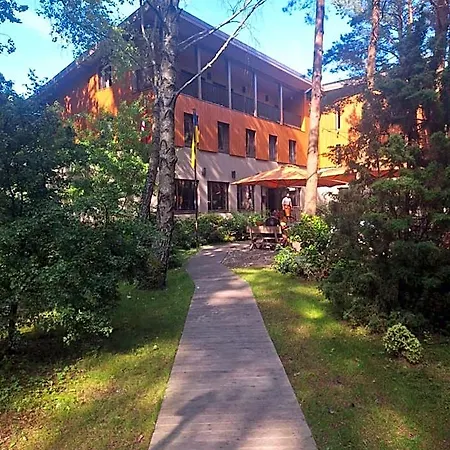 Gintarautojai Palanga