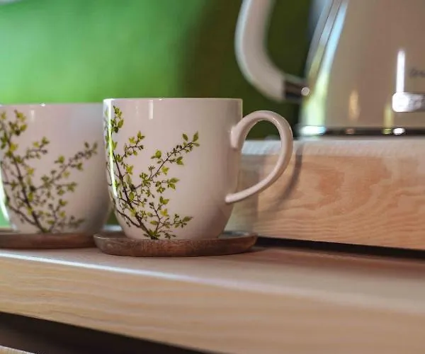 Ξενοδοχείο Gintarautojai Παλάγκα