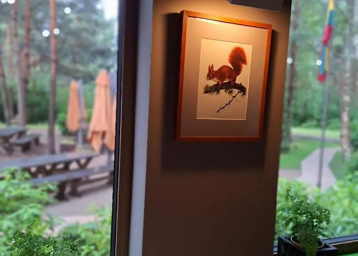 Gintarautojai Ξενοδοχείο