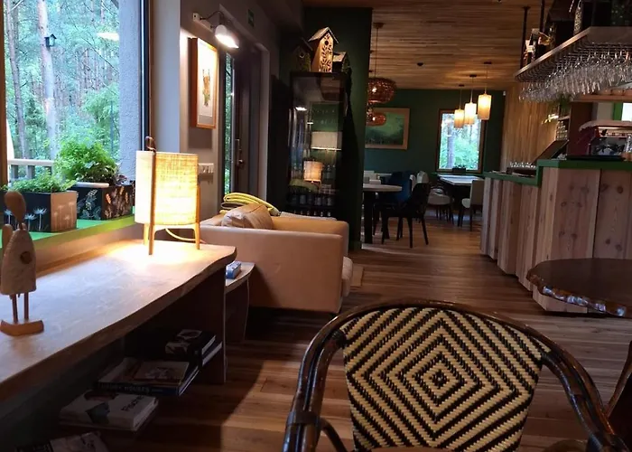 Gintarautojai Παλάγκα