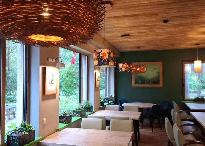 Отель Gintarautojai