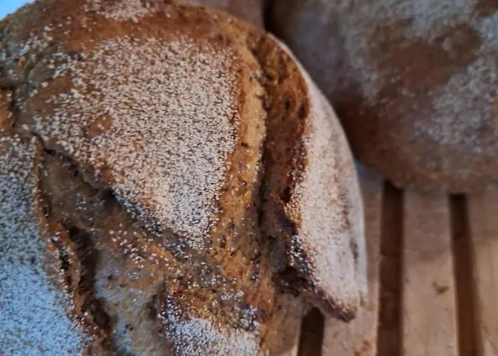 Gintarautojai Отель