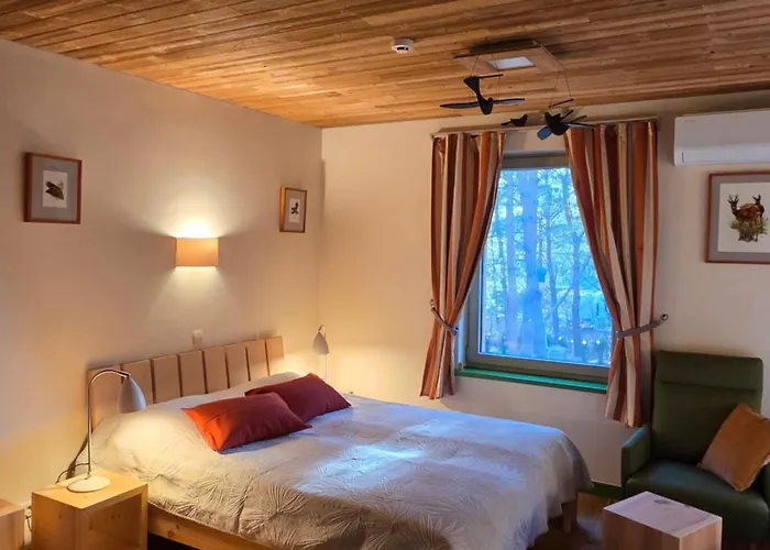 Ξενοδοχείο Gintarautojai Παλάγκα