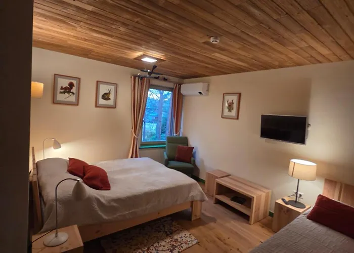 Gintarautojai * Παλάγκα