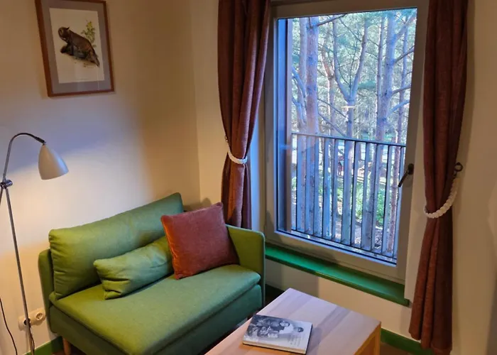 Gintarautojai Готель