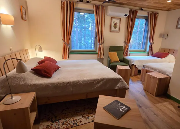 Ξενοδοχείο Gintarautojai *