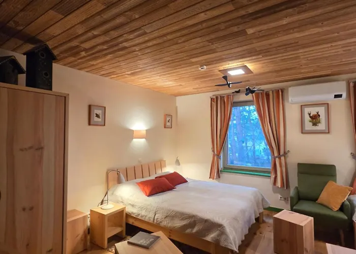 Gintarautojai * Παλάγκα