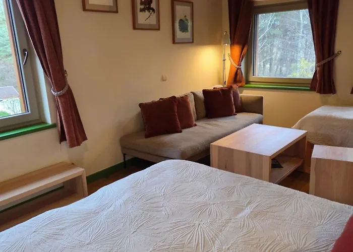 Ξενοδοχείο Gintarautojai Παλάγκα